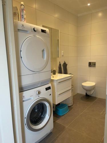 图什比Gröna Huset的一间带洗衣机和水槽的浴室