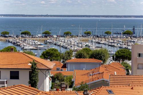 阿卡雄Best Western Arcachon Le Port的享有码头和水中船只的景色