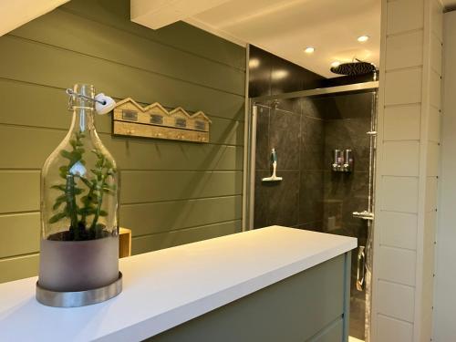特镇Le repos du Wayai的一个带玻璃瓶和台面上植物的浴室