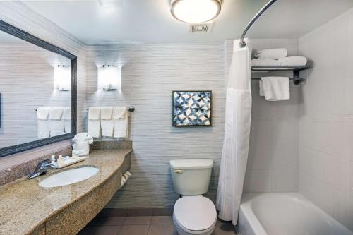 艾肯艾肯希尔顿花园酒店的浴室配有卫生间、盥洗盆和浴缸。