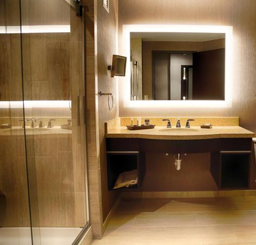 劳伦斯堡希尔顿逸林劳伦伯格酒店的一间带水槽、镜子和淋浴的浴室