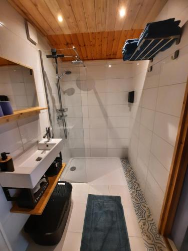 WapenveldB&B Paardenhof的带淋浴和盥洗盆的浴室