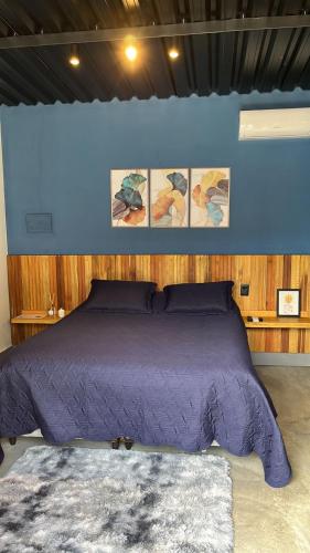 圣罗克CHALÉS SÃO ROQUE的一间卧室配有一张紫色床和蓝色的墙壁