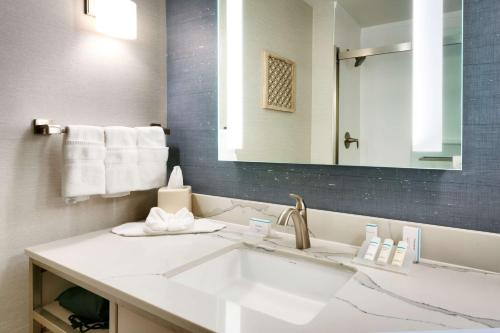 爱达荷福尔斯爱达荷瀑布希尔顿花园酒店的一间带水槽和镜子的浴室