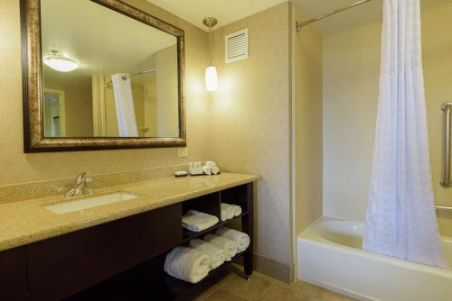 布鲁克林中心Embassy Suites by Hilton Minneapolis North的一间带水槽、浴缸和镜子的浴室