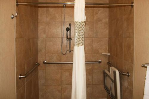 阿尔派恩阿尔派汉普顿酒店的浴室内配有淋浴帘。