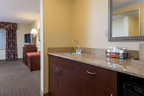 斯克内克塔迪Hampton Inn Schenectady Downtown的一间酒店客房内带水槽的浴室