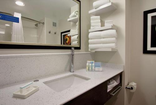 弗雷泽费城大峡谷希尔顿恒庭酒店的浴室配有盥洗盆、镜子和毛巾
