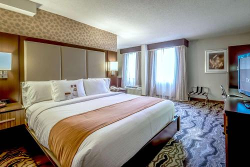 蒙哥马利蒙哥马利市区希尔顿逸林酒店的酒店客房设有一张大床和一台电视。