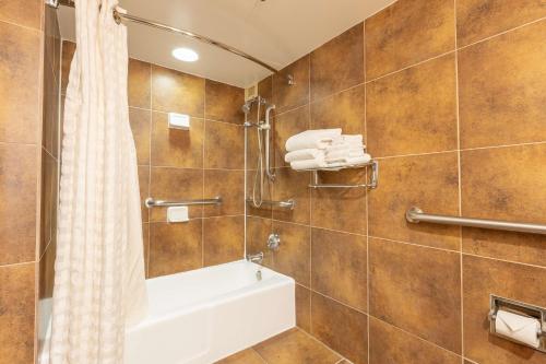 理查森理查森/达拉斯希尔顿逸林酒店的浴室配有浴缸和淋浴及浴帘