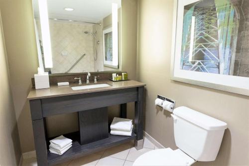 尼亚加拉瀑布希尔顿尼亚加拉大瀑布/瀑布景观套房酒店的一间带水槽、卫生间和镜子的浴室