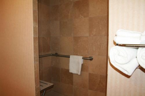 拉斯维加斯拉斯维加斯/北赛道汉普顿酒店的带淋浴、毛巾和卫生间的浴室