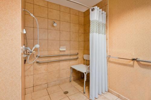 马里恩马里恩汉普顿酒店的带淋浴、卫生间和椅子的浴室