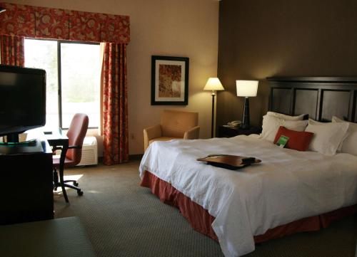穆雷盐湖城汉普顿默里酒店的酒店客房设有一张大床和一台电视。