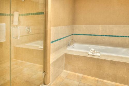切斯特菲尔德圣路易斯希尔顿逸林酒店 - 切斯特菲尔德的设有带浴缸和淋浴的浴室。