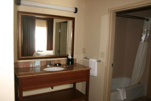 新布朗费尔斯纽布朗费尔斯希尔顿欢朋酒店的浴室配有盥洗盆、镜子和浴缸