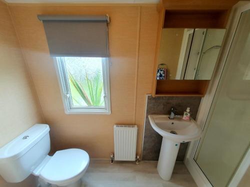 SwarlandBadger Retreat的浴室配有白色卫生间和盥洗盆。