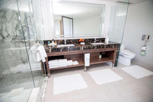 洛杉矶洛杉矶环球影城希尔顿酒店的一间带水槽、镜子和卫生间的浴室