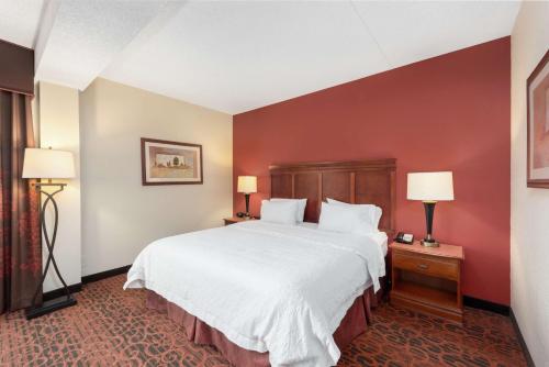布兰森加沙地带汉普顿布兰森酒店的酒店客房设有一张大床和两盏灯。