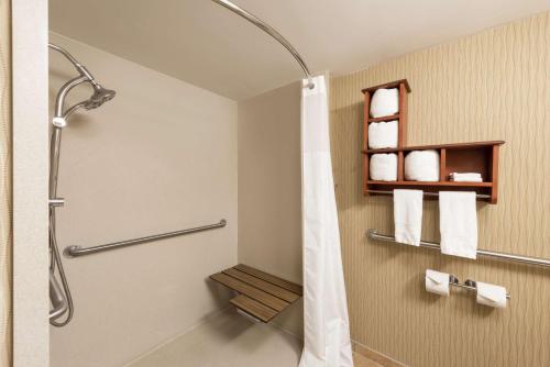 布兰森加沙地带汉普顿布兰森酒店的带淋浴和浴帘的浴室