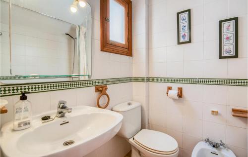 埃尔切Awesome Home In Elche With Wifi的一间带水槽、卫生间和镜子的浴室
