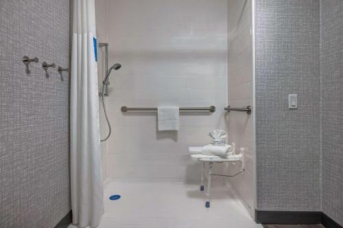 圣安东尼奥圣安东尼奥市中心希尔顿恒庭酒店的带淋浴和盥洗盆的浴室