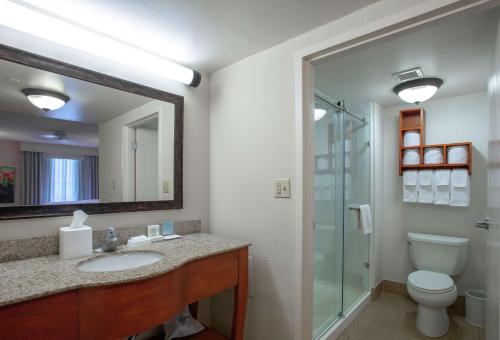威廉斯堡威廉斯堡里士满路汉普顿套房酒店 的一间带水槽、卫生间和镜子的浴室