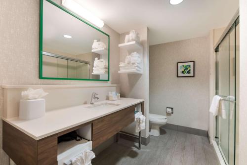 夏洛特汉普顿酒店及套房 - 夏洛特机场的一间带水槽、卫生间和镜子的浴室