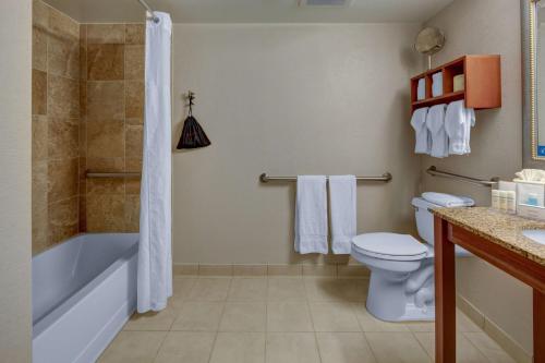 迈阿密迈阿密椰林/科勒尔盖布尔斯希尔顿恒庭酒店的带浴缸、卫生间和淋浴的浴室。