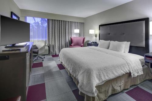迈阿密迈阿密椰林/科勒尔盖布尔斯希尔顿恒庭酒店的一间酒店客房,配有一张大床和一台平面电视