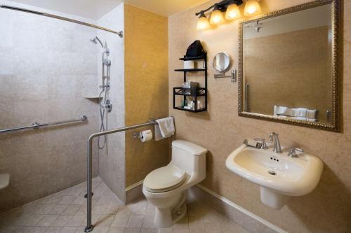 路易斯威尔路易斯维尔希巴希尔顿酒店的一间带卫生间、水槽和镜子的浴室