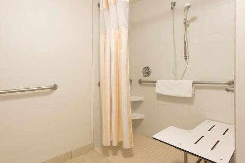 列克星敦列克星敦希尔顿花园酒店的带淋浴和卫生间的浴室