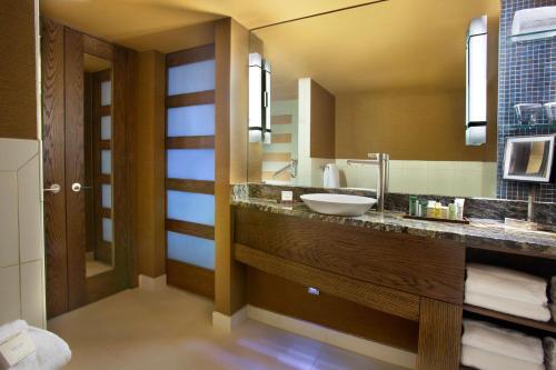 圣安东尼奥希尔顿帕拉西奥里奥酒店的一间带水槽和大镜子的浴室