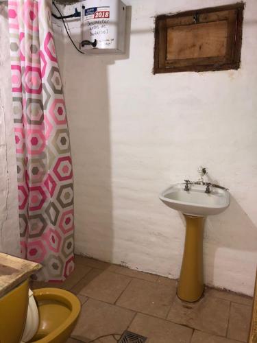 蒂尔卡拉REMODELAMOS casa sobre el rio a 100 mts del mercado municipal的一间带水槽和淋浴帘的浴室