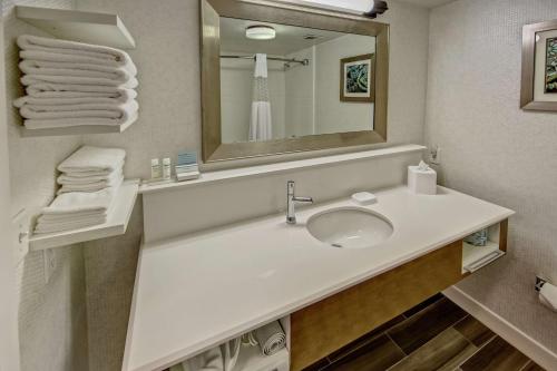 凯恩塔Hampton Inn Kayenta Monument Valley的浴室配有盥洗盆、镜子和毛巾