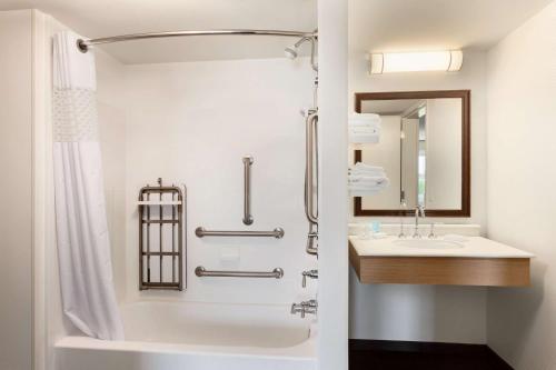 洪美尔斯镇赫尔希公园汉普顿酒店的带淋浴和盥洗盆的浴室
