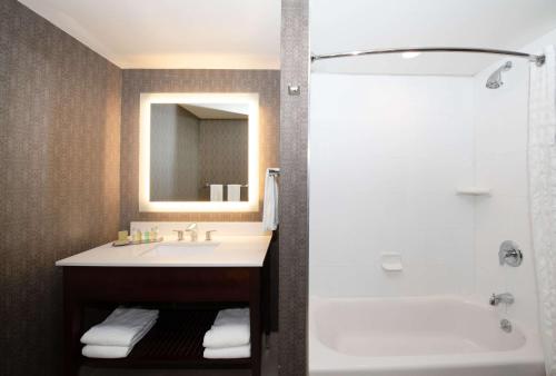 查尔斯顿查尔斯顿机场希尔顿逸林酒店的一间带水槽、浴缸和淋浴的浴室