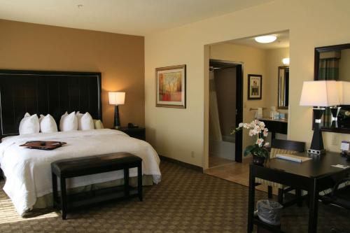 麦卡莱斯特麦卡莱斯特希尔顿恒庭旅馆&套房酒店的配有一张床和一张书桌的酒店客房