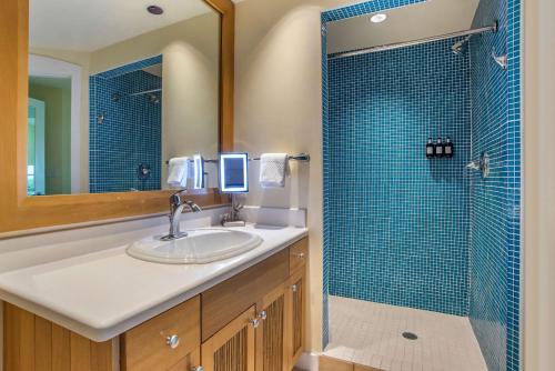 德斯坦Hilton Grand Vacations Club Sandestin的一间带水槽和淋浴的浴室