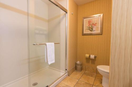 班戈班戈汉普顿酒店的带淋浴和卫生间的浴室