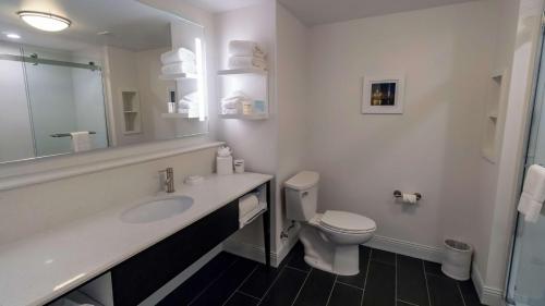 卡尔施塔特梅多兰兹汉普顿酒店的一间带水槽、卫生间和镜子的浴室