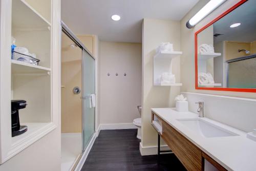 德纳姆斯普林斯德纳姆斯普林斯希尔顿恒庭酒店的一间带水槽、卫生间和镜子的浴室