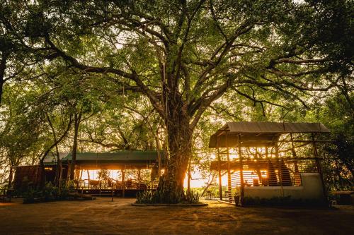 ASKIESBOS - Samochima Bush Camp