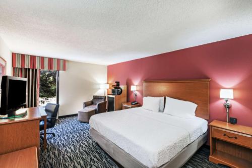 艾肯艾肯汉普顿酒店的配有一张床和一台平面电视的酒店客房