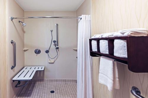 艾肯艾肯汉普顿酒店的带淋浴、床和卫生间的浴室