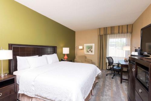 休伦港休伦港希尔顿恒庭酒店的酒店客房设有一张大床和一张书桌。