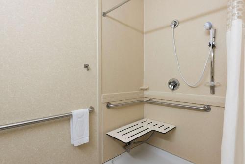 休伦港休伦港希尔顿恒庭酒店的带淋浴和卫生间的小浴室