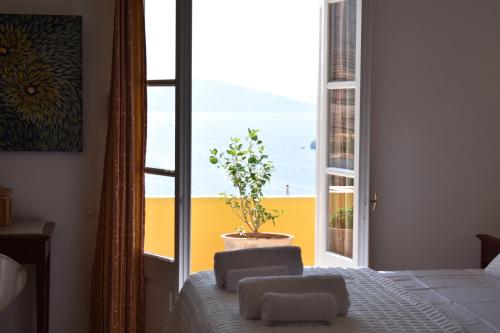 伊兹拉Chez Le Goff的卧室,卧室的窗户上放着盆栽植物