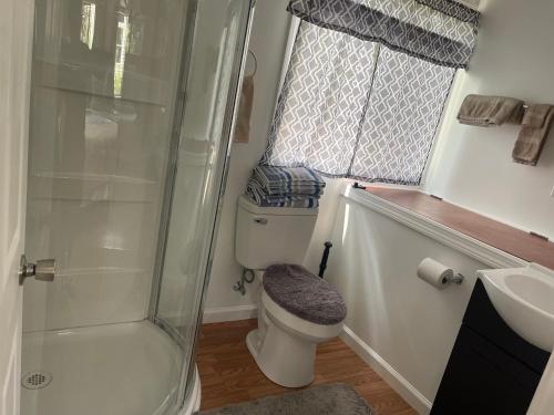哈德逊Creekside Fantasy Inn的带淋浴、卫生间和盥洗盆的浴室