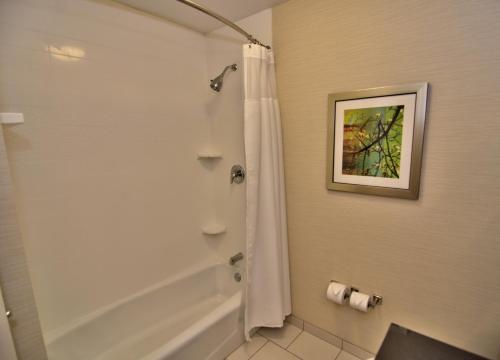 Towanda托旺达维索克斯万豪费尔菲尔德客栈及套房的带淋浴和浴帘的浴室